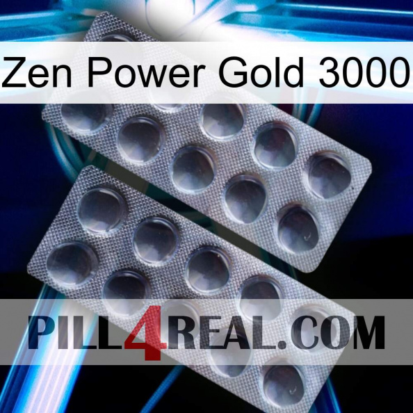 Zen Power Gold 3000 31.jpg